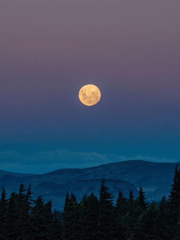 Moon to represent that therapy can be done in multiple phases.