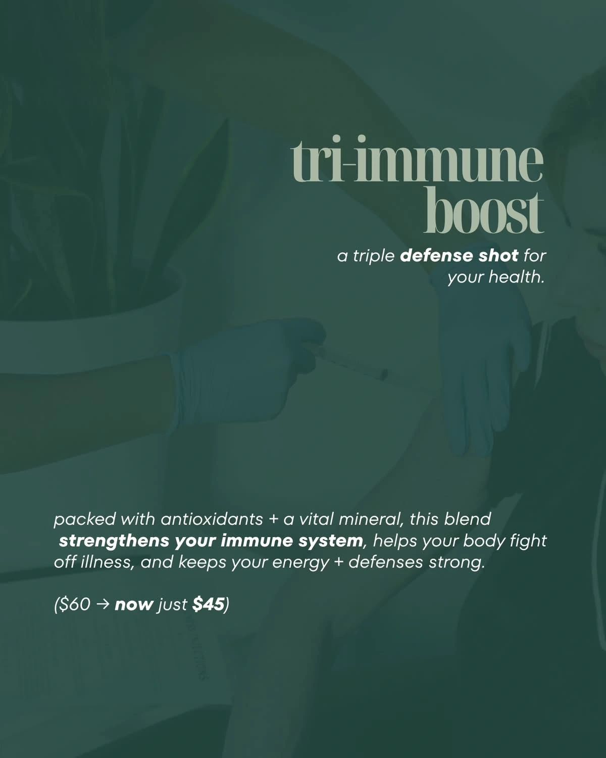 Luceat Vita Wellness - Image 6