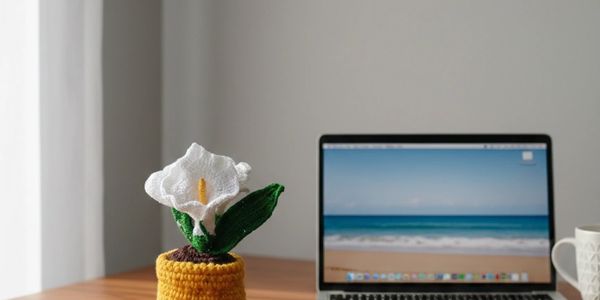 Imagina tus espacios 