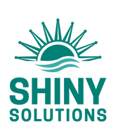Shiny Solutions