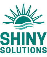 Shiny Solutions