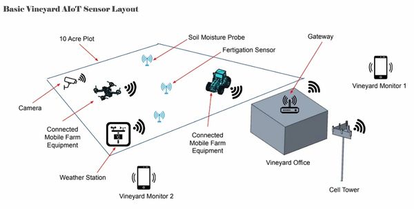 Basic Vineyard AIoT sensor layout diagram for smart agriculture and yield optimization
