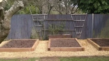Three raised garden beds in a backyard with flowers and a tree.