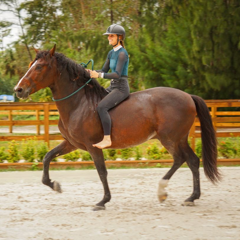 Copriferro - Traduzione In Inglese - Dizionario TechDico - Foto 8