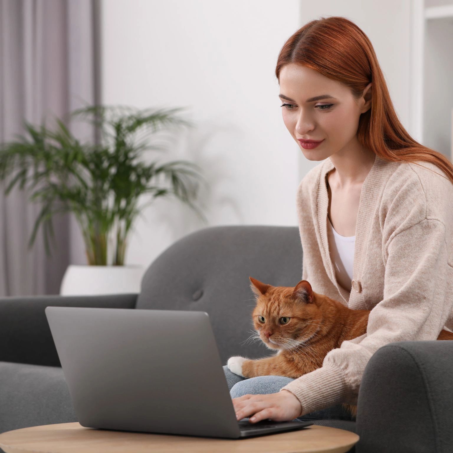 Woman working on laptop with her ginger cat on her lap.