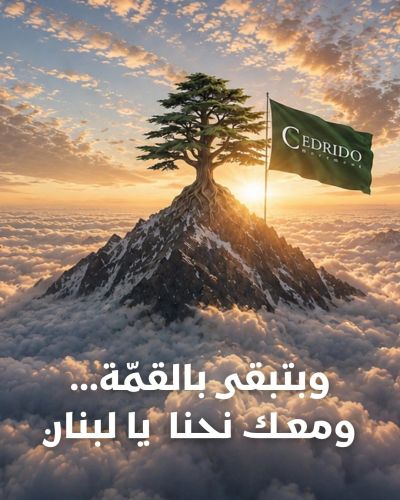 A tree on a mountain peak with a flag and Arabic text.
