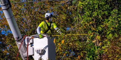 Worker trimming tree branches using a bucket lift.