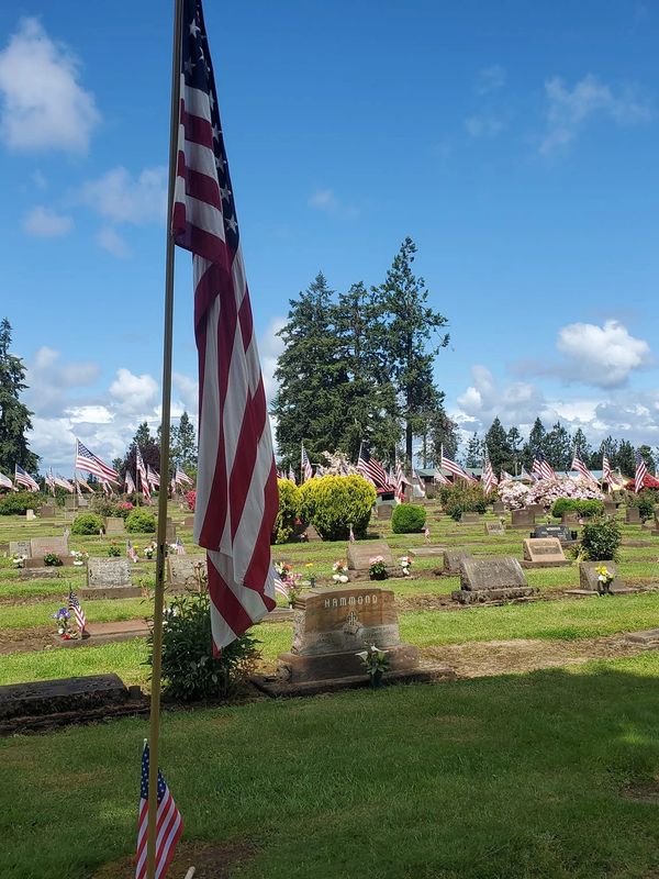 American flags mark graves in a peaceful cemetery under a blue sky.