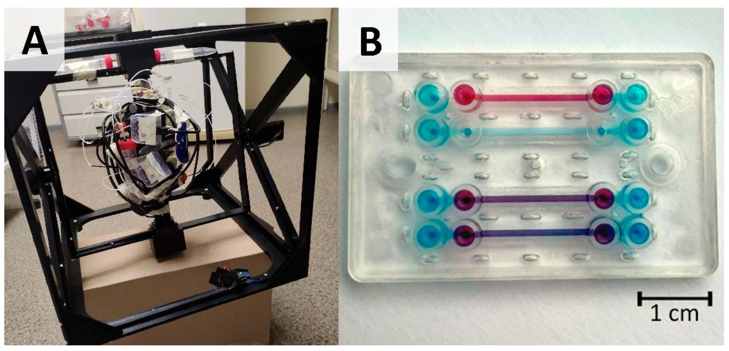 Microgravity Simulator Bio litegrav Enables Organ-on-a-Chip System Microgravity Simulation