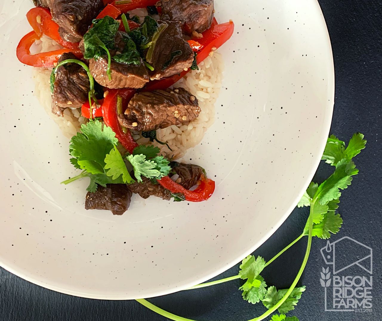 Bison stir-fry served in a shallow white bowl