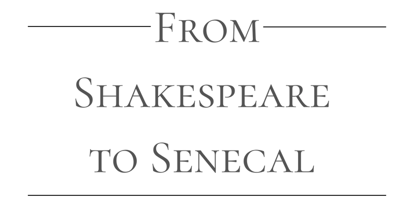 From Shakespeare to Sénécal
Literary Notes Analysis
Lysa Karell Author
Book Chronicle

