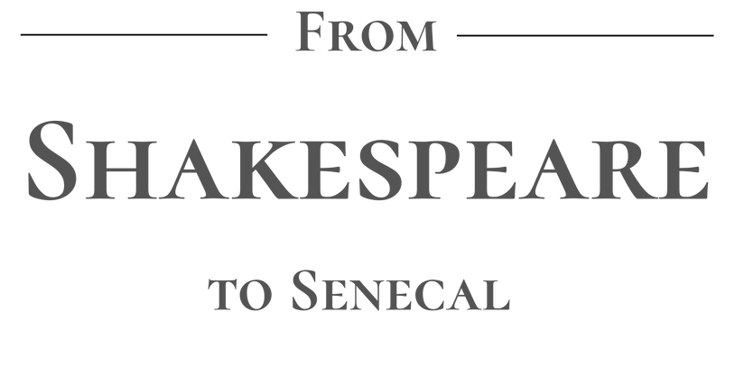 From Shakespeare to Sénécal
Literary Notes Analysis
Lysa Karell Author
Book Chronicle