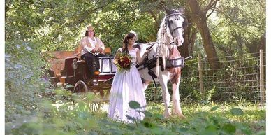 Horse and Carriage Wedding Daytona Fl