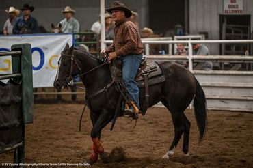 Cowboy riding a horse inside a rodeo arena.
