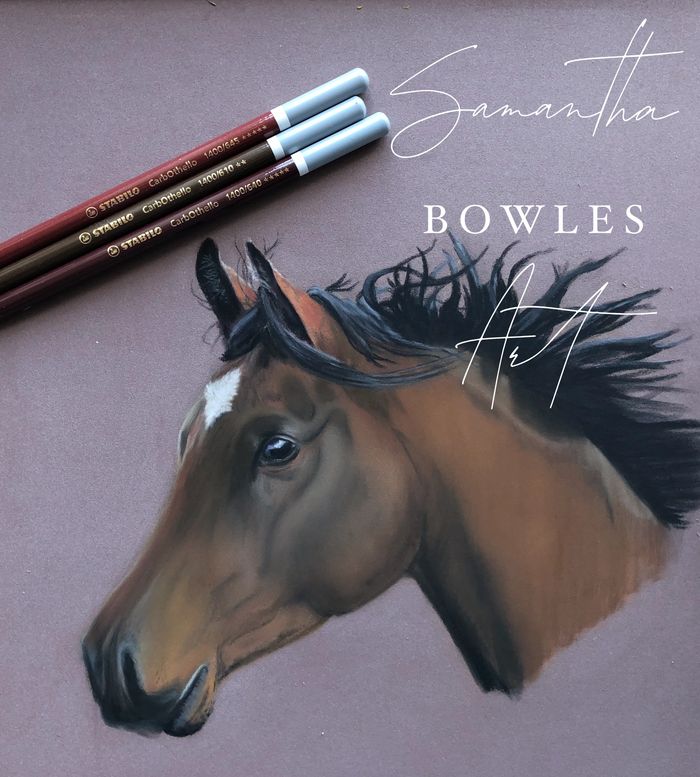 Horse in Pastels on pastelmat, 