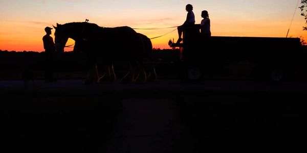 Sunset carriage rides