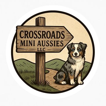 A rustic circular logo featuring a wooden crossroads sign labeled “Crossroads Mini Aussies LLC” besi