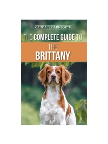 Everything you can imagine-All Brittany!