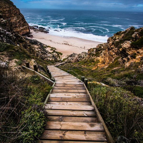 Find a path 