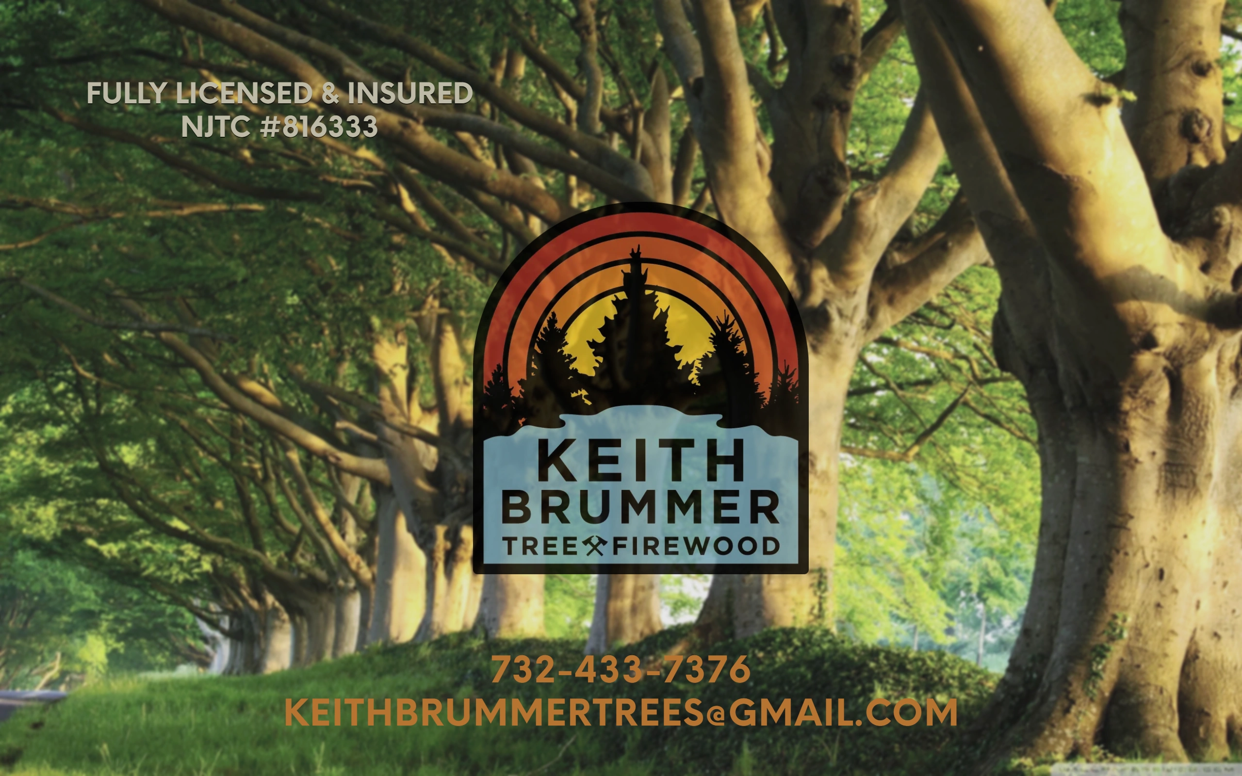 Keith Brummer Tree and Firewood Service, LLC