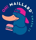 ohmaillard.cl