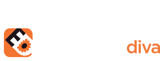 electronic diva design