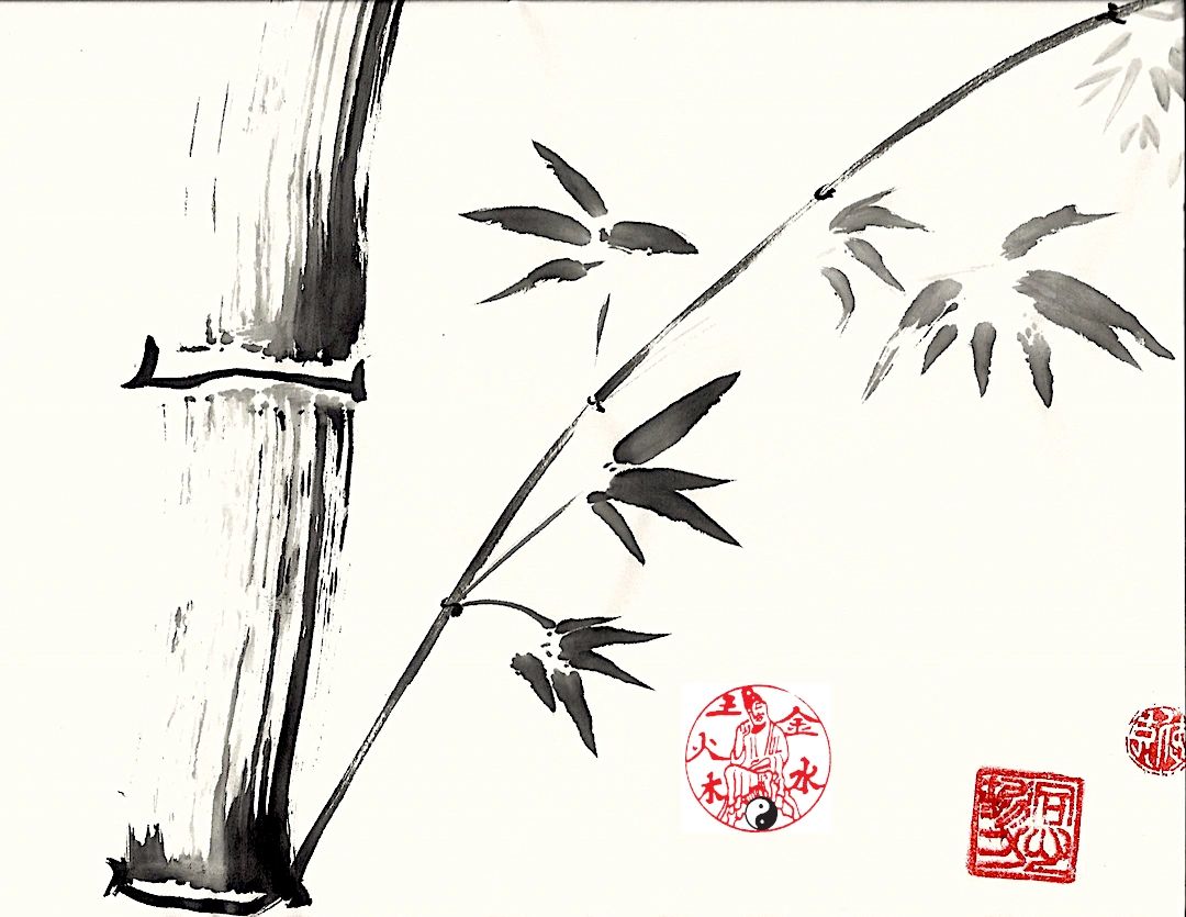 Wu Hsing Health Care Dirk Hein, Worsley, Acupuncture