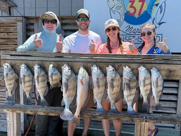 Four people proudly display their catch of large fish on a wooden rack.