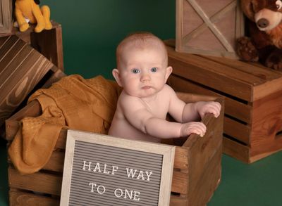 6 month milestones photography  halfway to one warrenton mo