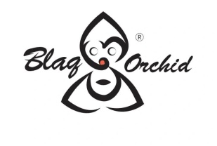 Blaq Orchid