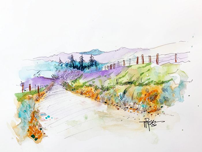 Road around the north coast of Maui