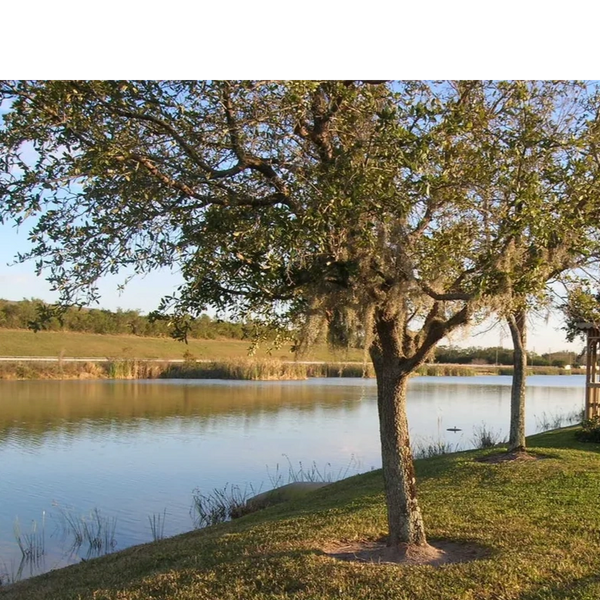 A wooden gazebo by a peaceful lakeside with trees and a walking path.