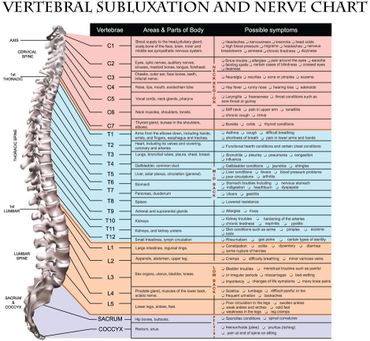 Chiropractor Washington NC
Chiropractor