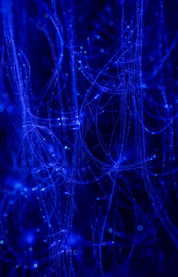 A Studio Journal – Blue Veil Edition