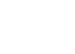 On the Go Transmissions
