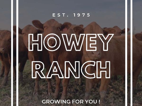 Howey Ranch, Grassfed Beef, Local, Carolinas, Natural Beef, Hormone Free, North Carolina, South Caro