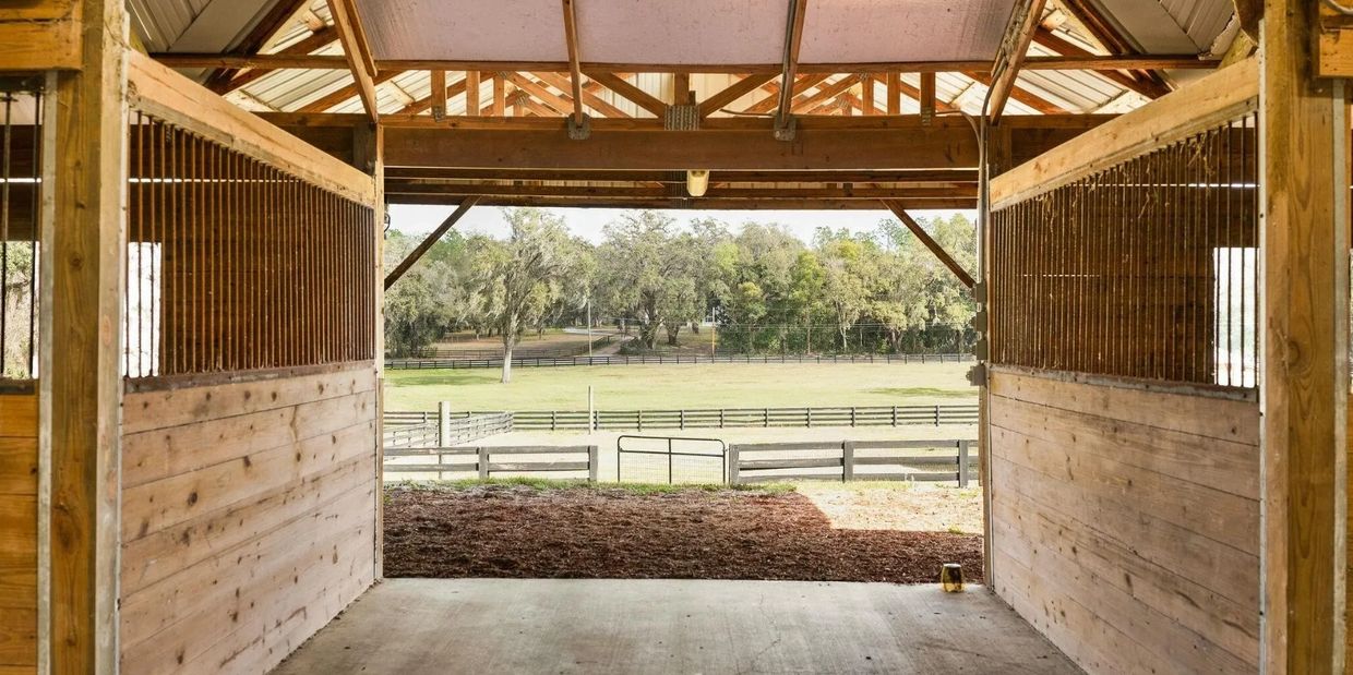 View from inside a wooden stable overlooking a fenced pasture and trees.