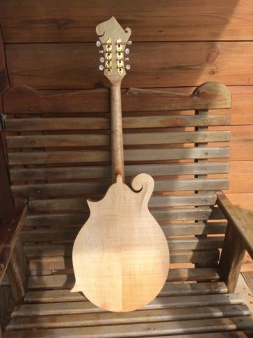 Afanti F Style Solid Mahogany Octave Mandolin - China Octave Mandlin and F  Style Octave Mandolin price