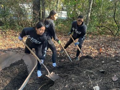 Volunteering at Edith L Moore Nature Sanctuary 