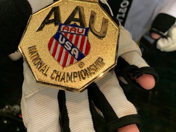 AAU Taekwondo National Championships