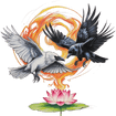 Raven’s Touch LLC