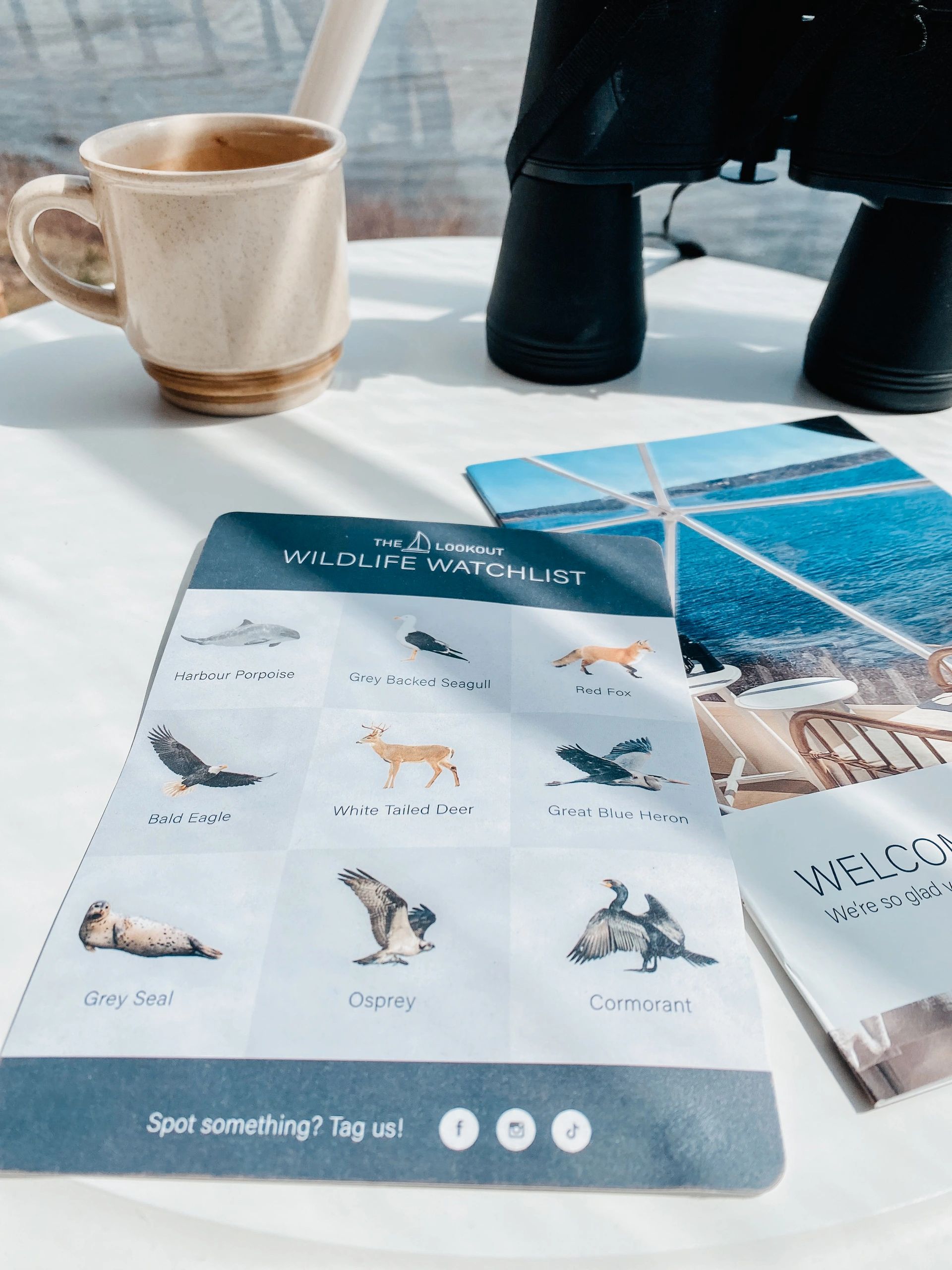 Wildlife Watchlist card provided in glamping dome so guests can look for nearby Nova Scotia animals.
