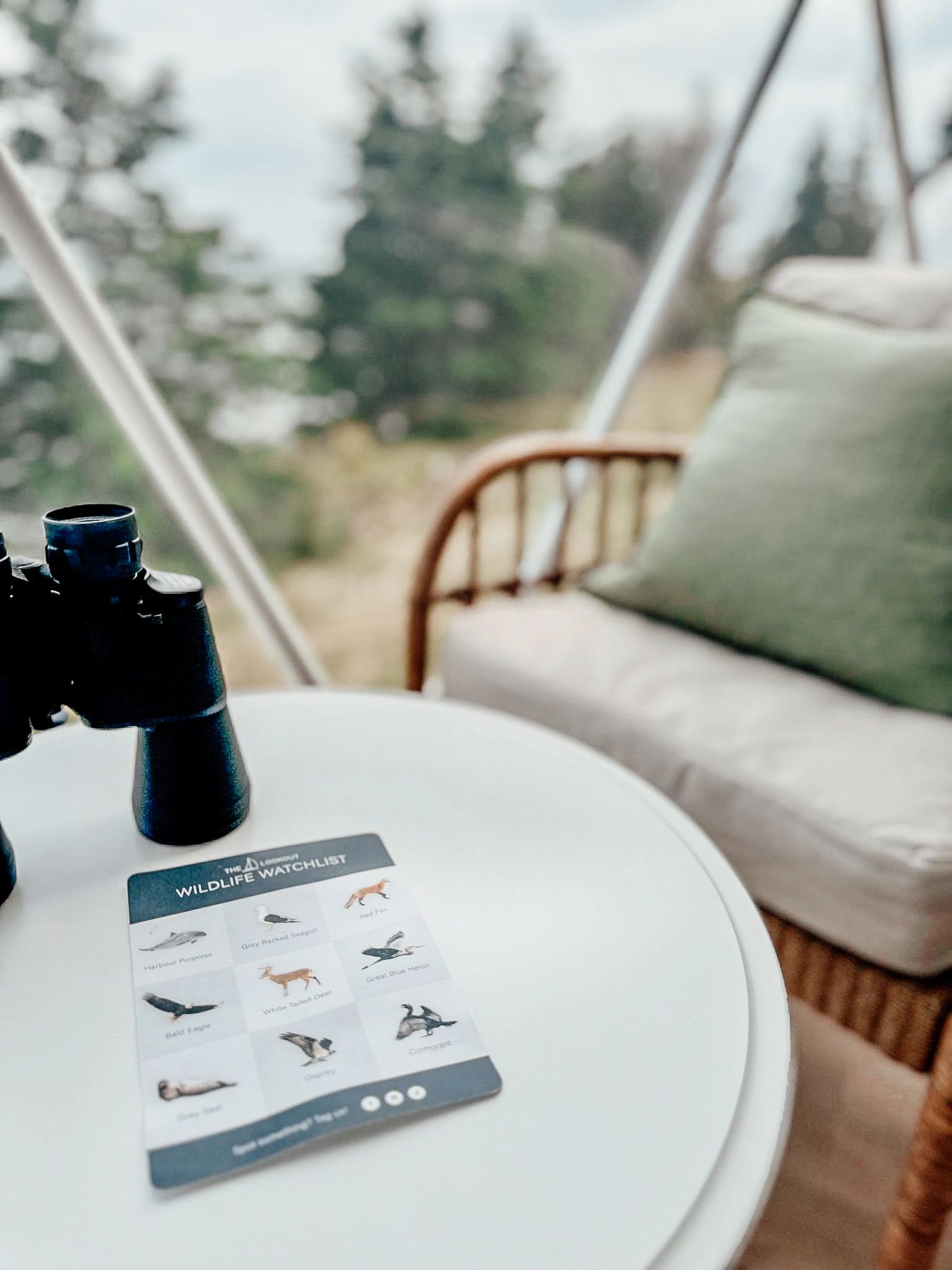 Binoculars and Wildlife Watchlist on a table in a Nova Scotia glamping dome with amazing ocean views