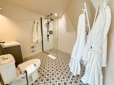 NS Dome full bathroom with accessible roll in shower, spa robe and vanity