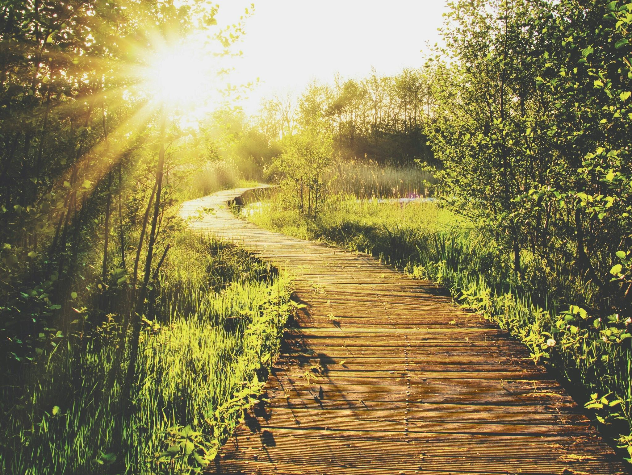 Road with sunshine
