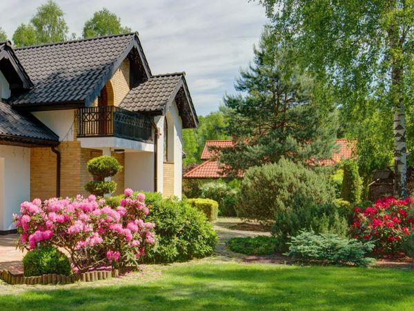 A house garden with decorative plants and trees