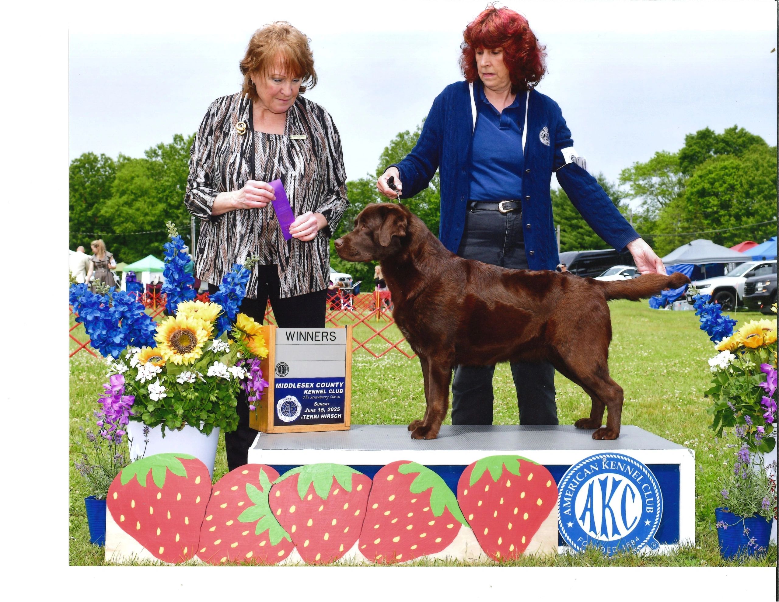 Dog show winners with a chocolate Labrador and two women.