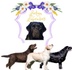 Lorlyn Labradors