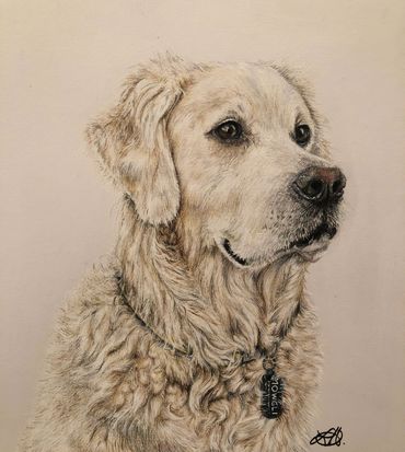 Colored pencils on white paper