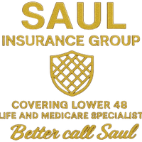 Saul Insurance Group